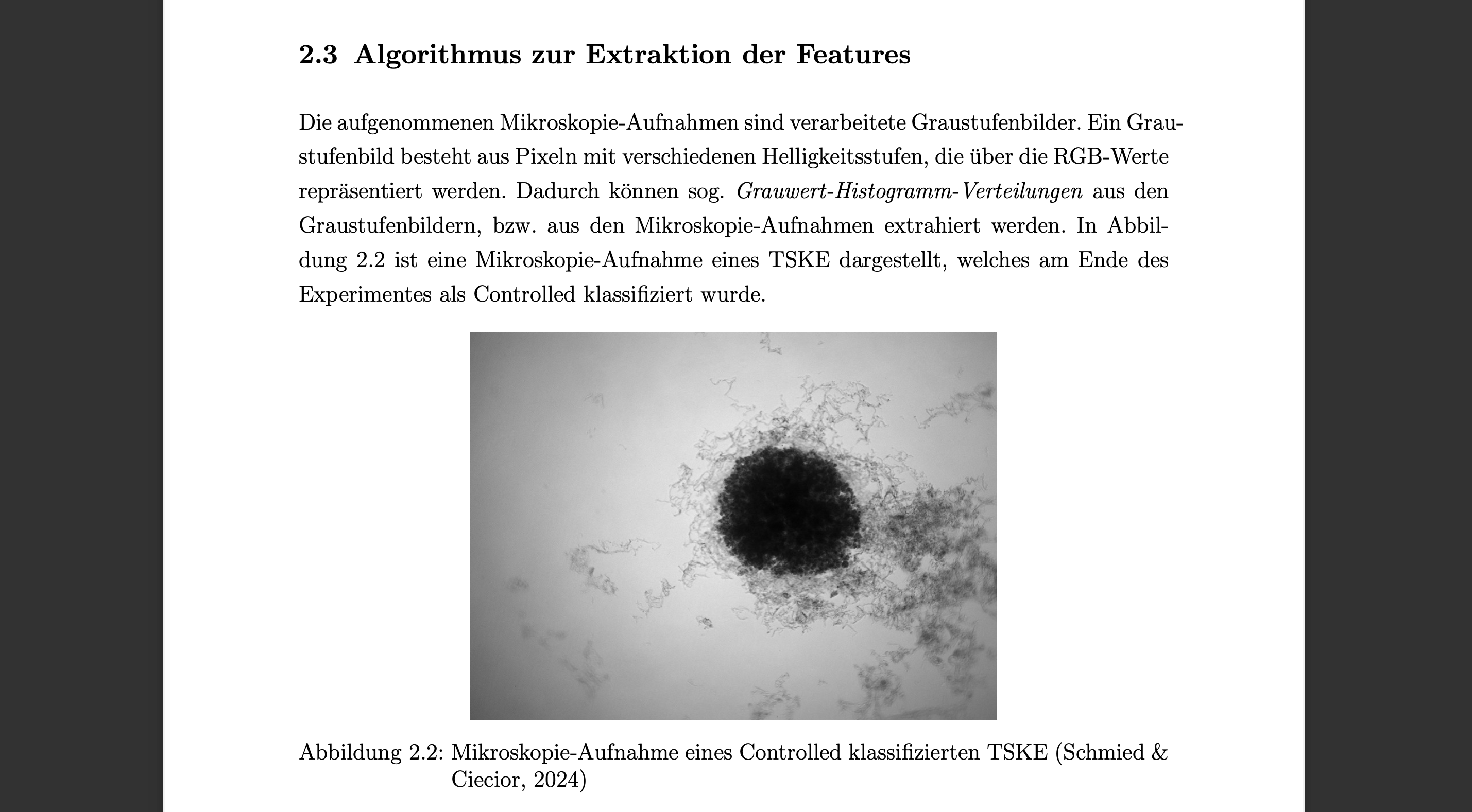 TSKE Screenshot 3