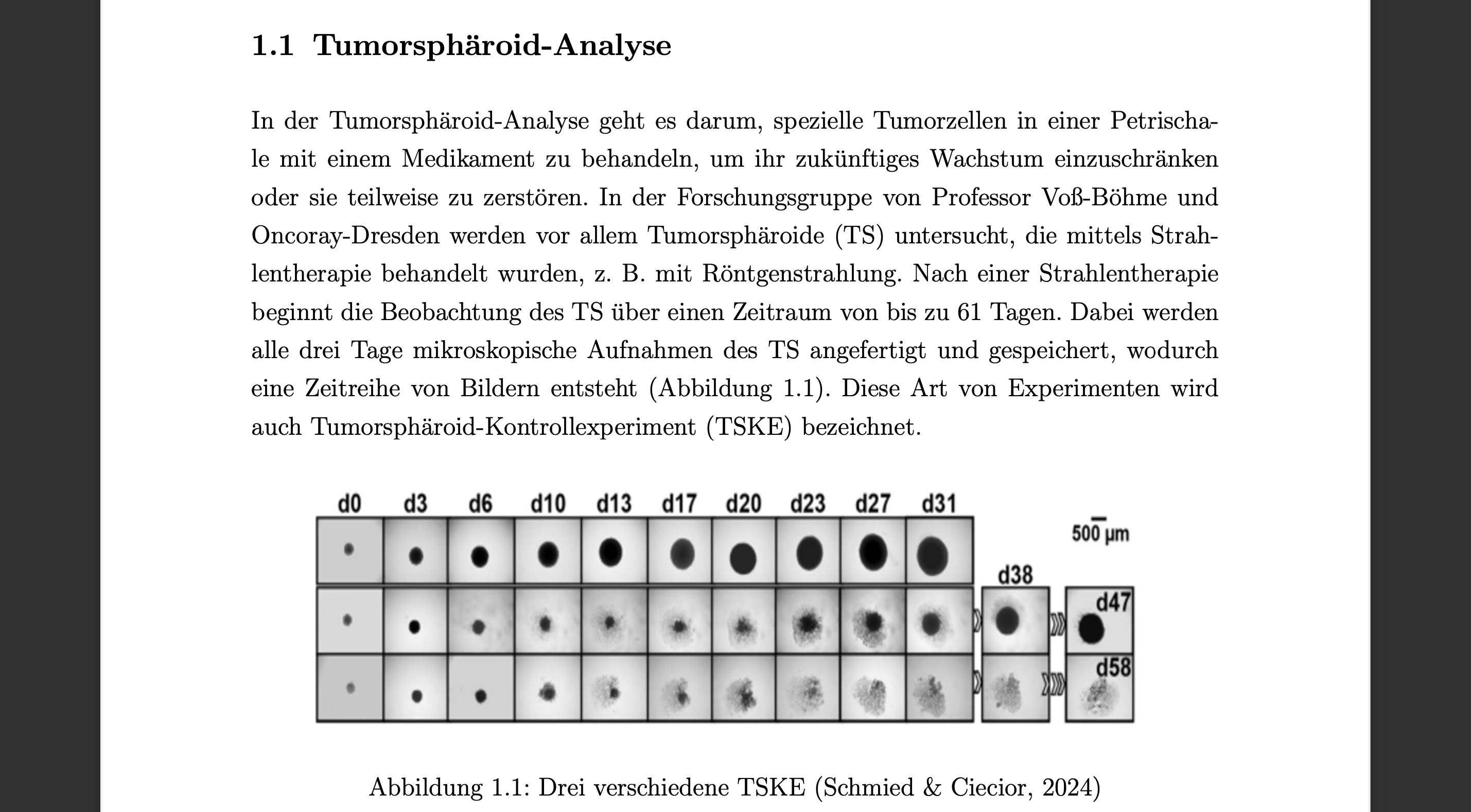 TSKE Screenshot 4
